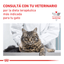 Royal Canin - Gatos Adultos - Gastrointestinal - Pouch