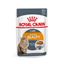 Royal Canin - Gatos Adultos Intense Beauty Pelo & Piel - Pouch