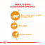 Royal Canin - Gatos Adultos Intense Beauty Pelo & Piel - Pouch