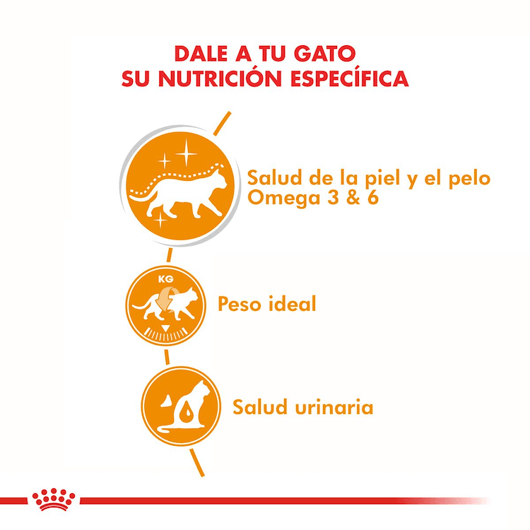 Royal Canin - Gatos Adultos Intense Beauty Pelo & Piel - Pouch