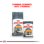 Royal Canin - Gatos Adultos Intense Beauty Pelo & Piel - Pouch