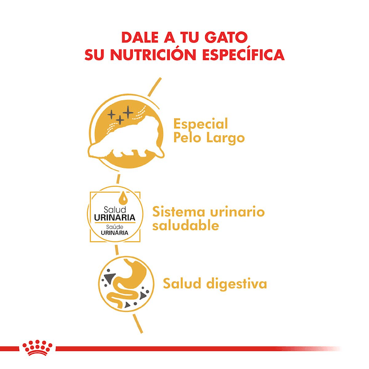 Royal Canin - Gatos Adultos - Persa - Pouch