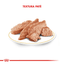 Royal Canin - Gatos Adultos - Persa - Pouch