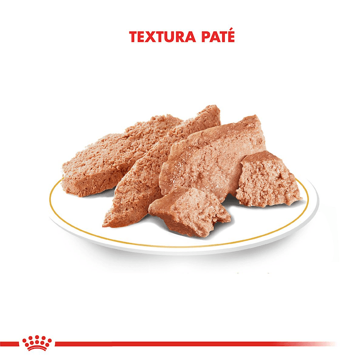 Royal Canin - Gatos Adultos - Persa - Pouch