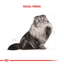 Royal Canin - Gatos Adultos - Persa - Pouch
