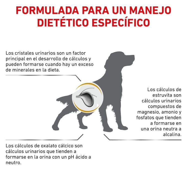Royal Canin - Perros Adultos - Cuidado Urinario S/O