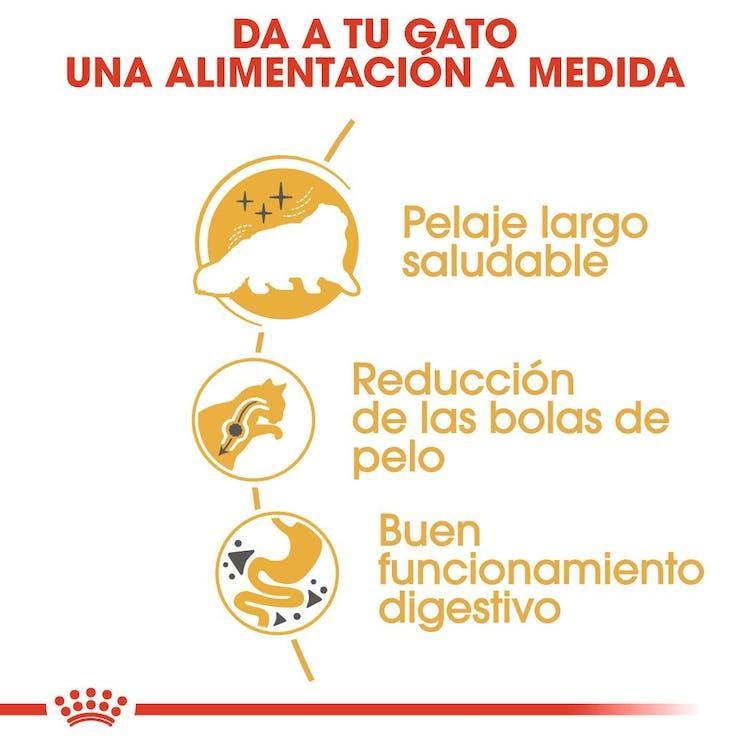 Royal Canin - Gatos Adultos Persa