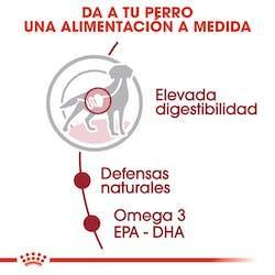 Royal Canin - Perros Adultos Medianos - Pouch