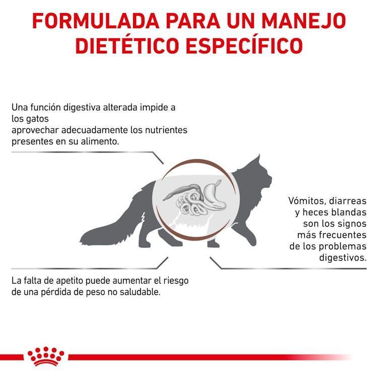 Royal Canin - Gatos Adultos - Gastrointestinal