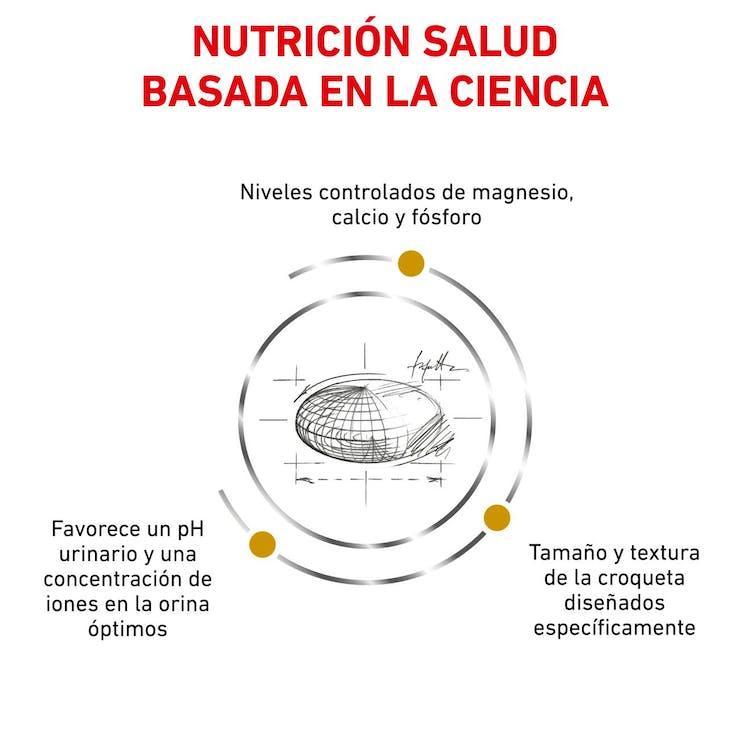 Royal Canin - Perros Adultos Pequeños - Cuidado Urinario