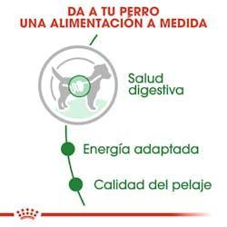 Royal Canin - Perros Adultos Pequeños - Pouch