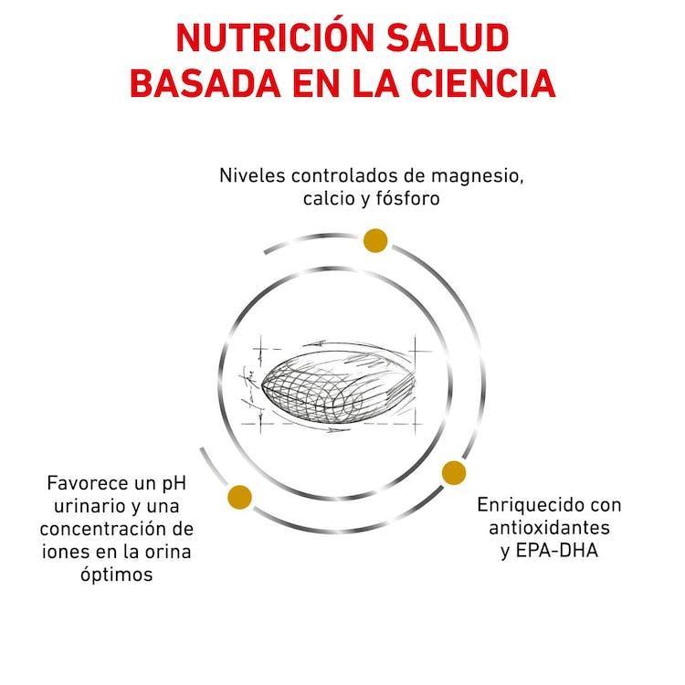 Royal Canin - Perros Adultos - Cuidado Urinario S/O