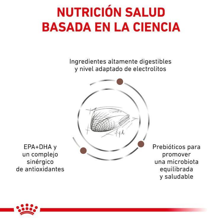 Royal Canin - Gatos Adultos - Gastrointestinal