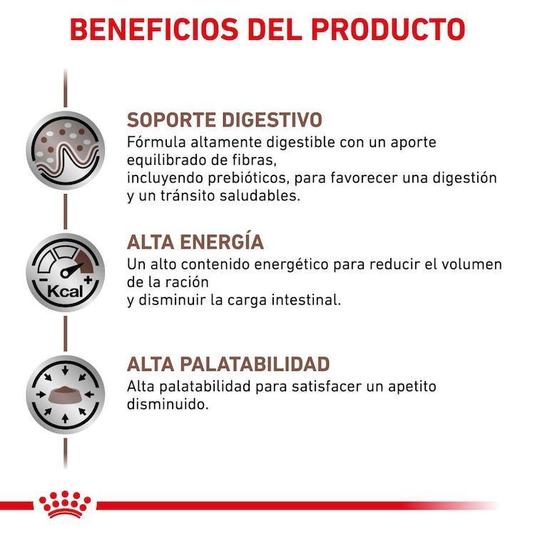 Royal Canin - Gatos Adultos - Gastrointestinal