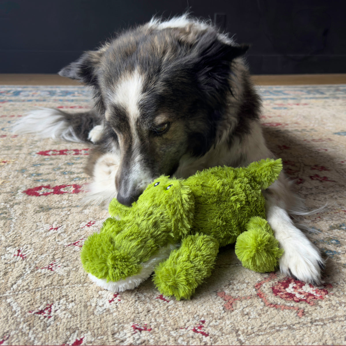 Kong - Perros Cozie Ali Aligator