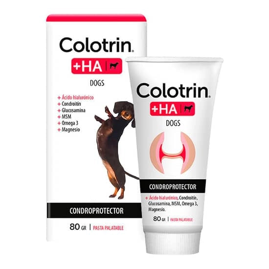 John Martin - Perros Colotrin + Ha