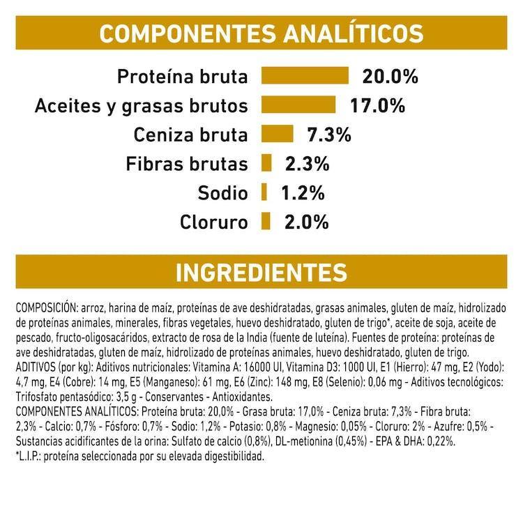Royal Canin - Perros Adultos Pequeños - Cuidado Urinario
