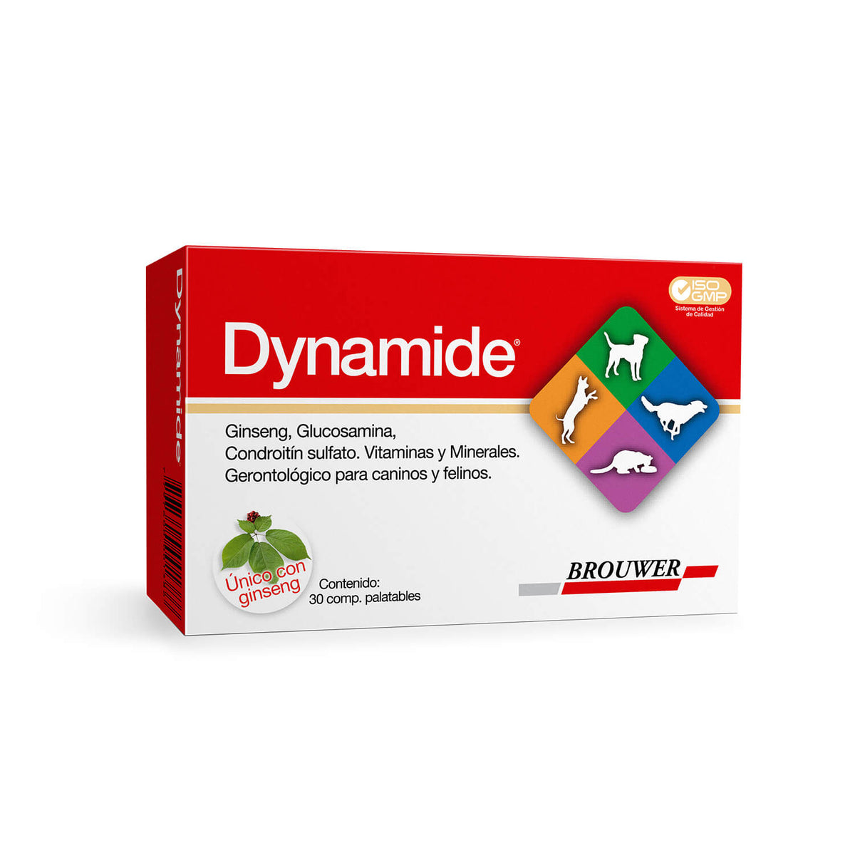 Brouwer - Dynamide