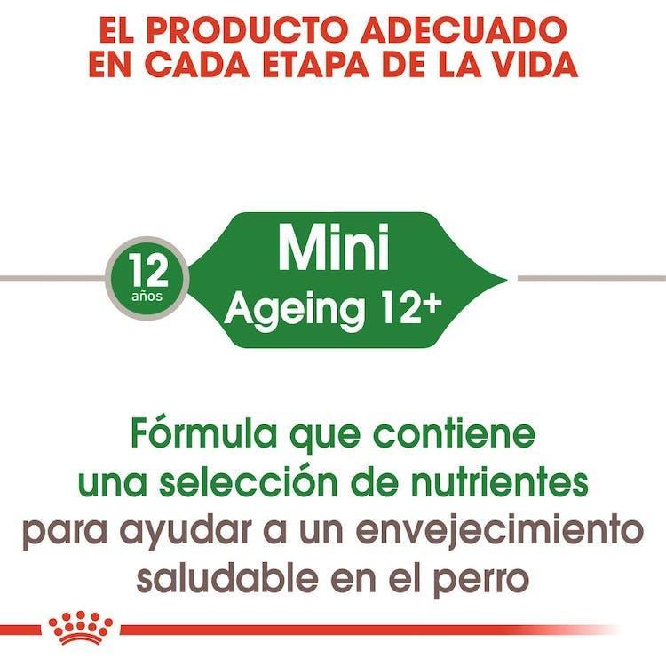 Royal Canin - Perros Senior Pequeños +12 - Pouch