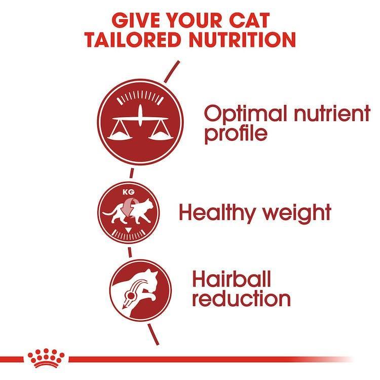 Royal Canin - Gatos Adultos Fit