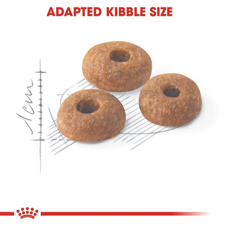 Royal Canin - Gatos Adultos Fit