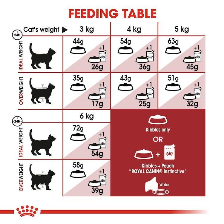 Royal Canin - Gatos Adultos Fit