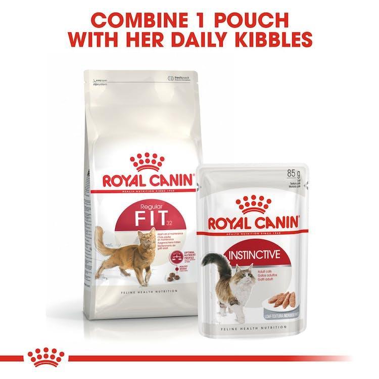 Royal Canin - Gatos Adultos Fit