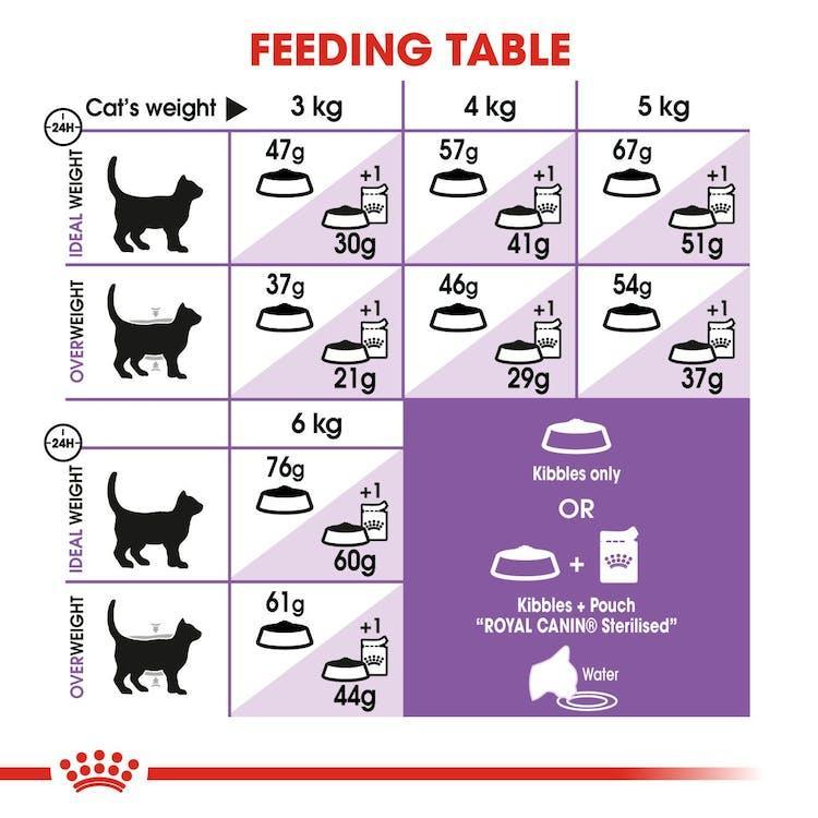 Royal Canin - Gatos Adultos Castrados