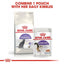 Royal Canin - Gatos Adultos Castrados