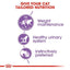 Royal Canin - Gatos Adultos Castrados - Pouch