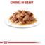 Royal Canin - Gatos Adultos Castrados - Pouch
