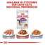 Royal Canin - Gatos Adultos Castrados - Pouch