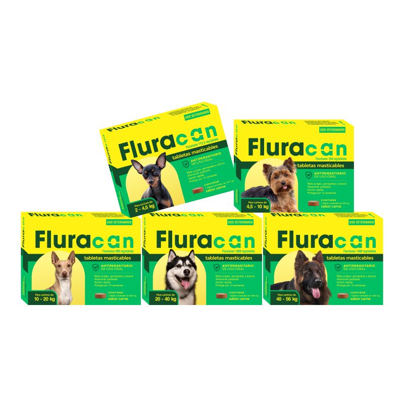 Galmedic - Fluracan (Flurapet) - 1 Comprimido
