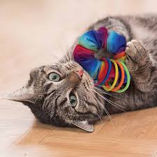 Kong - Gatos - Active Scrunchie