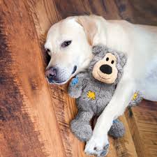 Kong - Perros Juguete Wild Knots Bear Gris