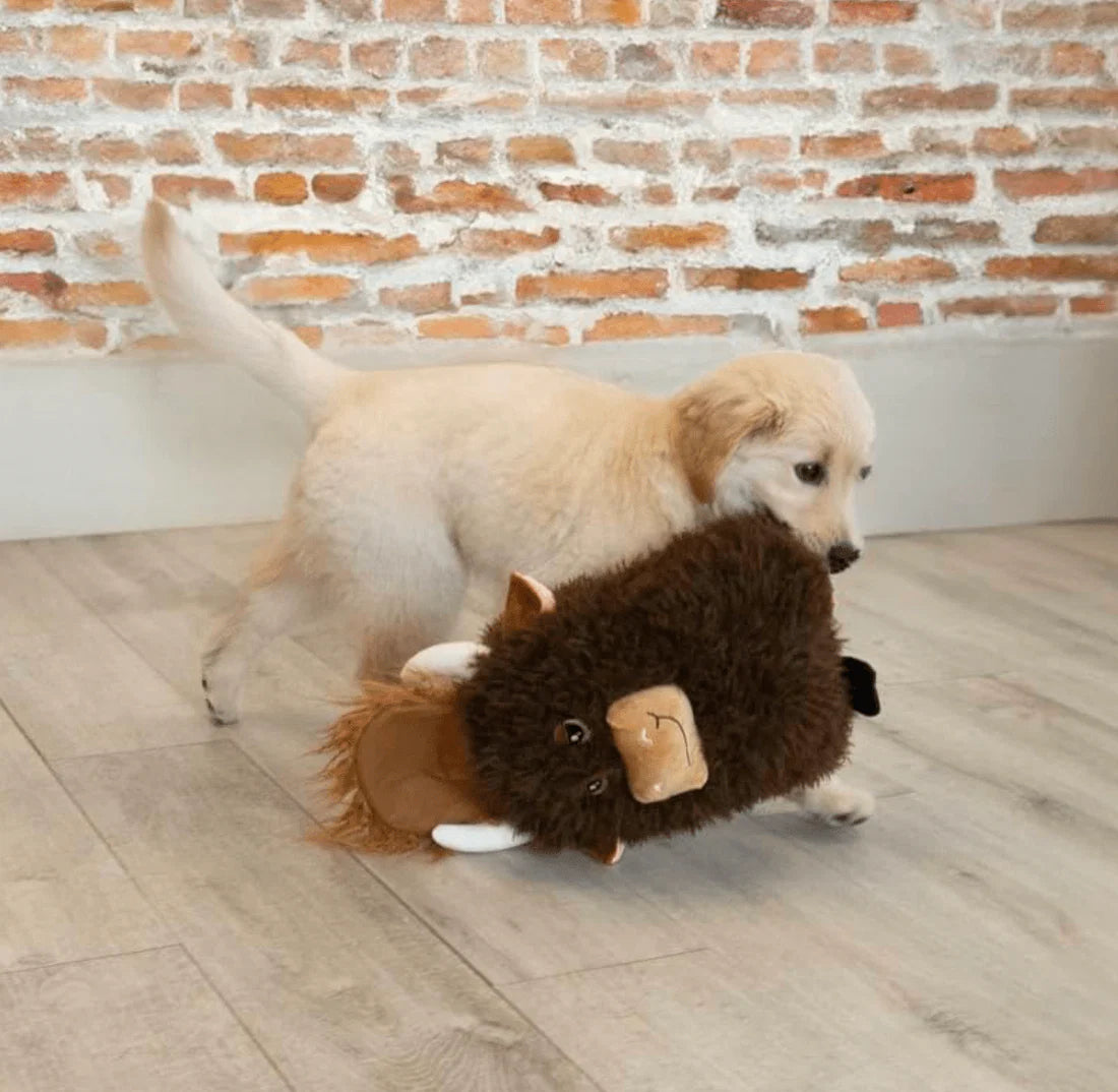 Kong - Perros - Comfort Jumbo Highland Vaca