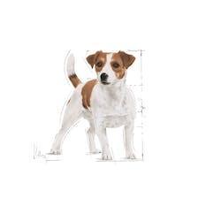 Royal Canin - Perros Adultos Pequeños - Pouch