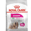 Royal Canin - Perros Adultos Pequeños Exigent
