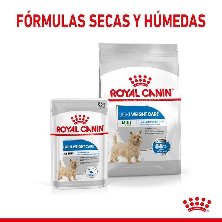 Royal Canin - Perros Adultos Pequeños - Light Weight Care