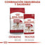 Royal Canin - Perros Adultos Medianos - Pouch