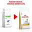 Royal Canin - Perros Adultos - Cuidado Urinario S/O