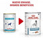 Royal Canin - Perros Adultos - Hipoalergénico - Lata