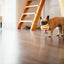 PLAY - Juguete Taco Para Perros