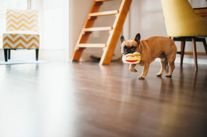 PLAY - Juguete Taco Para Perros