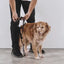 Zeedog - Perros Pechera H Harness - Naturals Dune