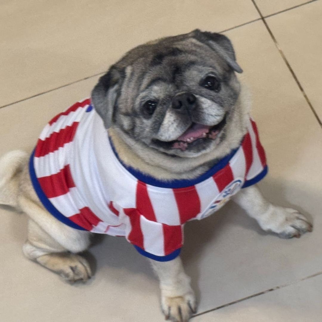 Wanchan - Remera De Seleccion Paraguay - Albirroja