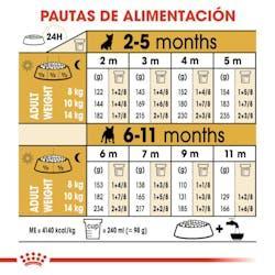 Royal Canin - Perros Cachorros Bulldog Frances
