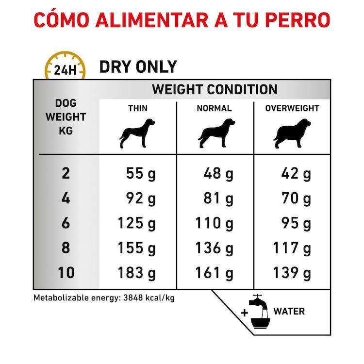 Royal Canin - Perros Adultos Pequeños - Cuidado Urinario