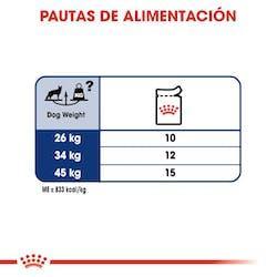 Royal Canin - Perros Adultos Grandes - Pouch