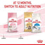 Royal Canin - Gatitos
